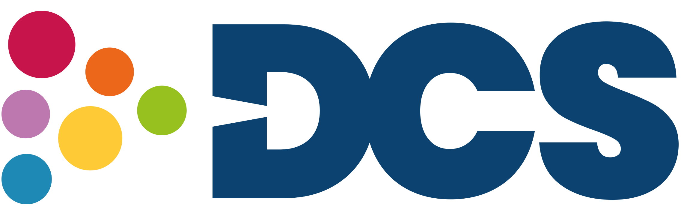DCS – Logo Pos – Large